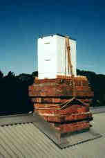 chimney7