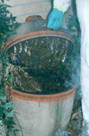 feral-beehive-in-BBQ-lid feral-beehive-in-BBQ-lid