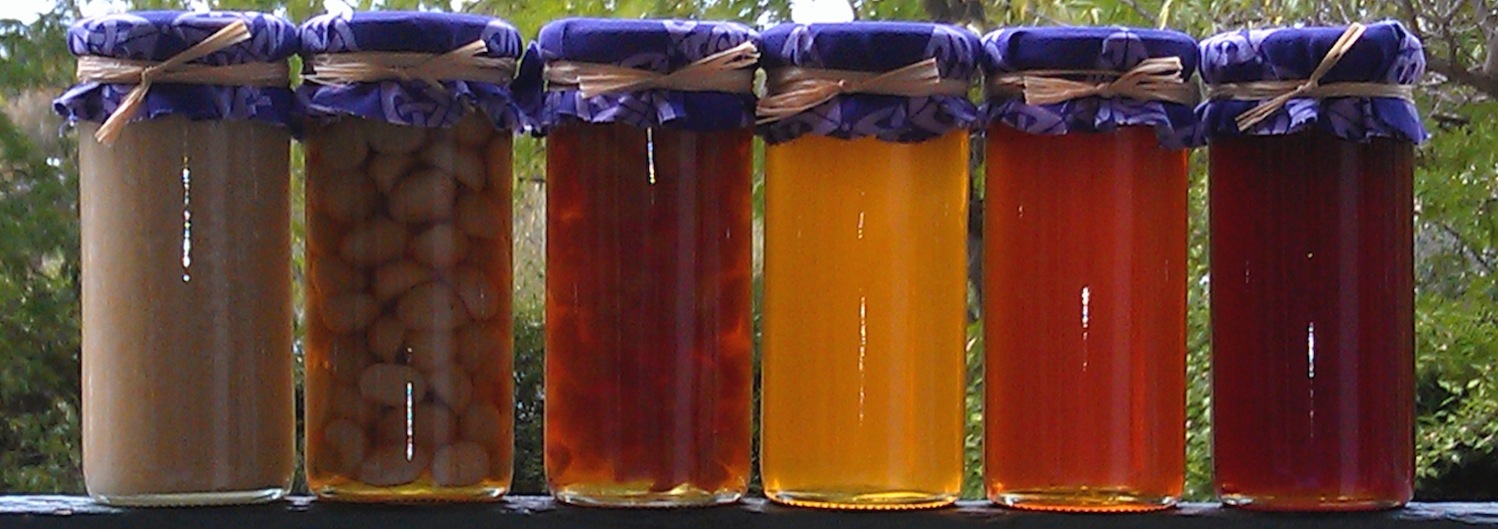 honey jars