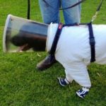Protective clothing