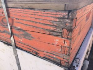 IMG_0662