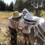 Bindaree Bee Academy